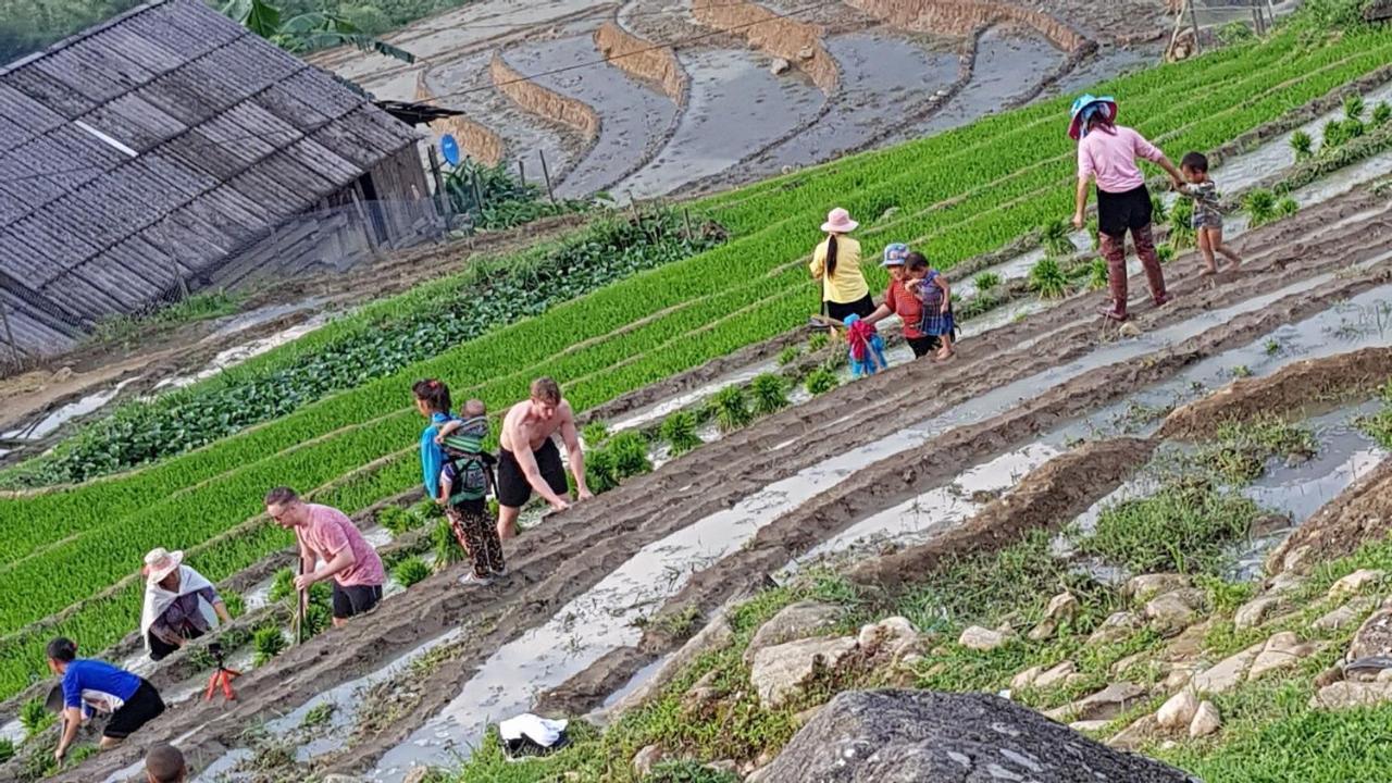 Tavan View Homestay Sapa Eksteriør billede